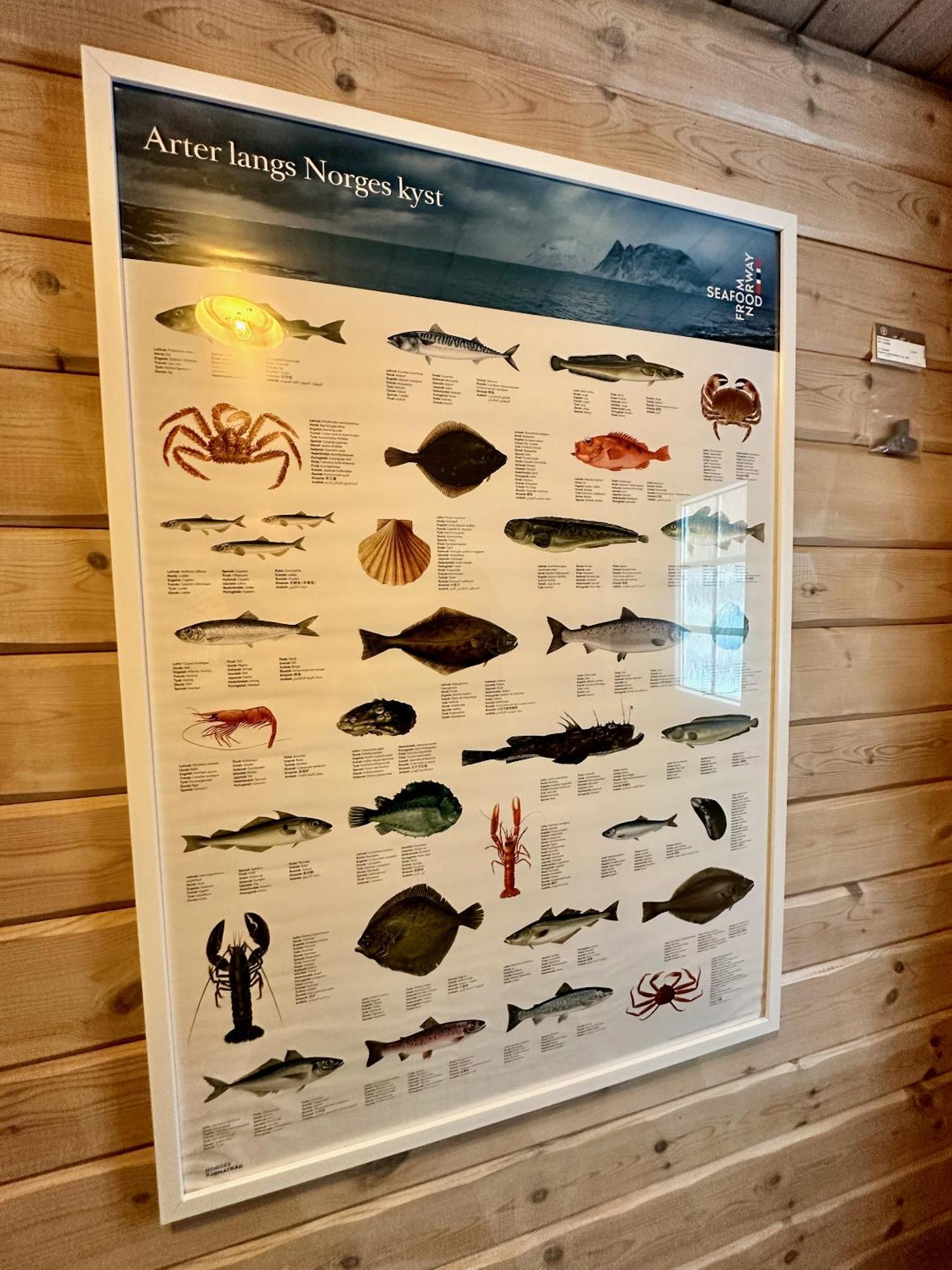 Lofoten Troll Point Bostad Zewnętrze zdjęcie