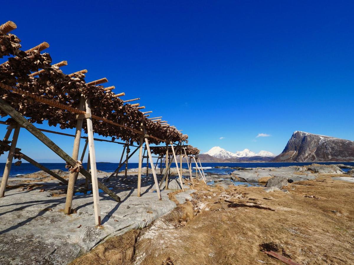 Lofoten Troll Point Bostad Zewnętrze zdjęcie